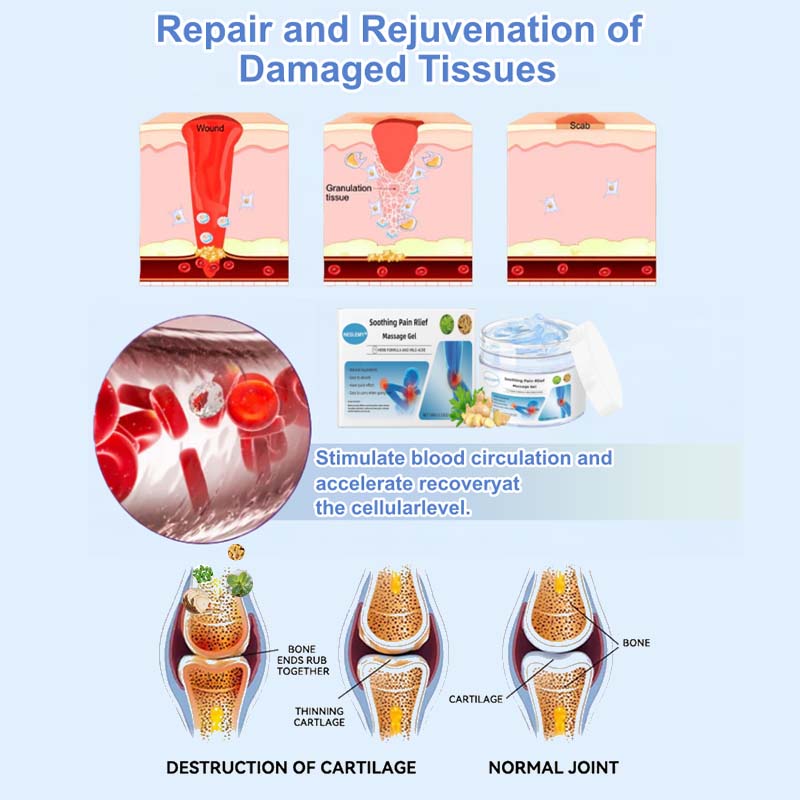 NESLEMY® Joint Relief Gel – Natural Herbal Ointment Wellness