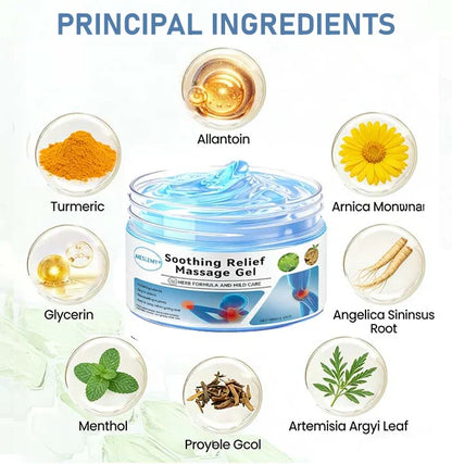 NESLEMY® Joint Relief Gel – Natural Herbal Ointment Wellness