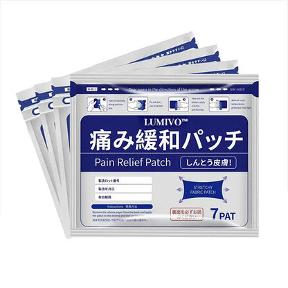 Natural Herbal Pain Relief Patches – Heat Pain Patch for Muscle, Joint, Knee & Back Pain